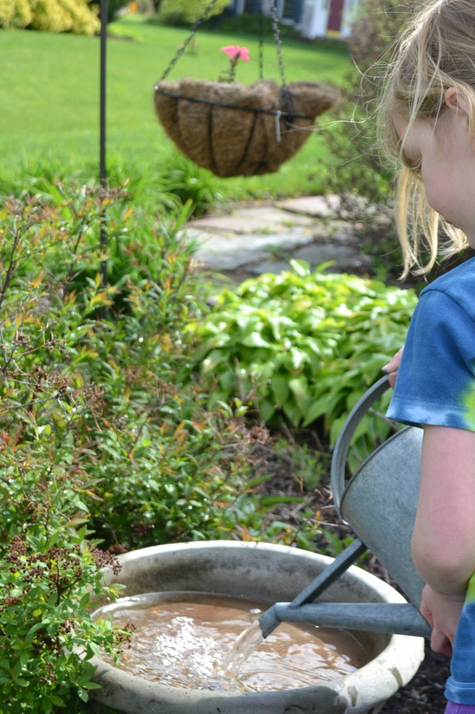 birdbath